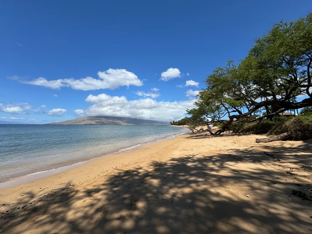 Random beach close to home