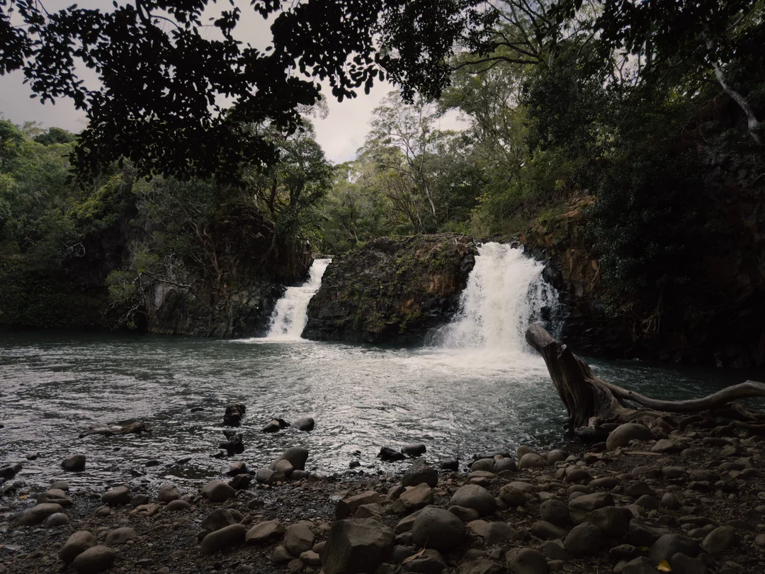 Twin Falls