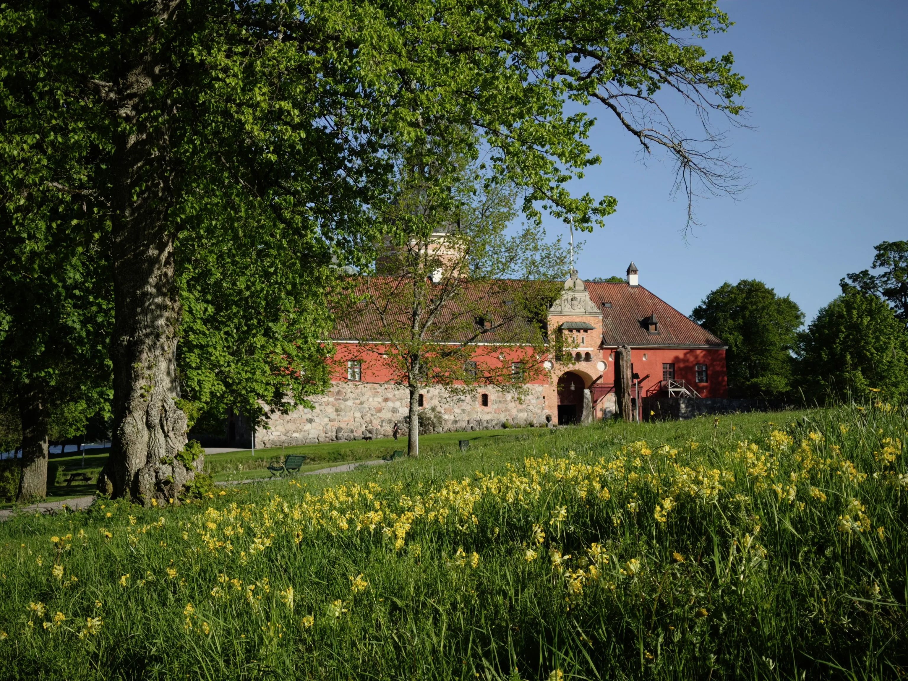 Gripsholm Castle's red walls and stone base rise behind a lush meadow dotted with yellow wildflowers, its towers framed by large leafy trees under a clear blue sky.