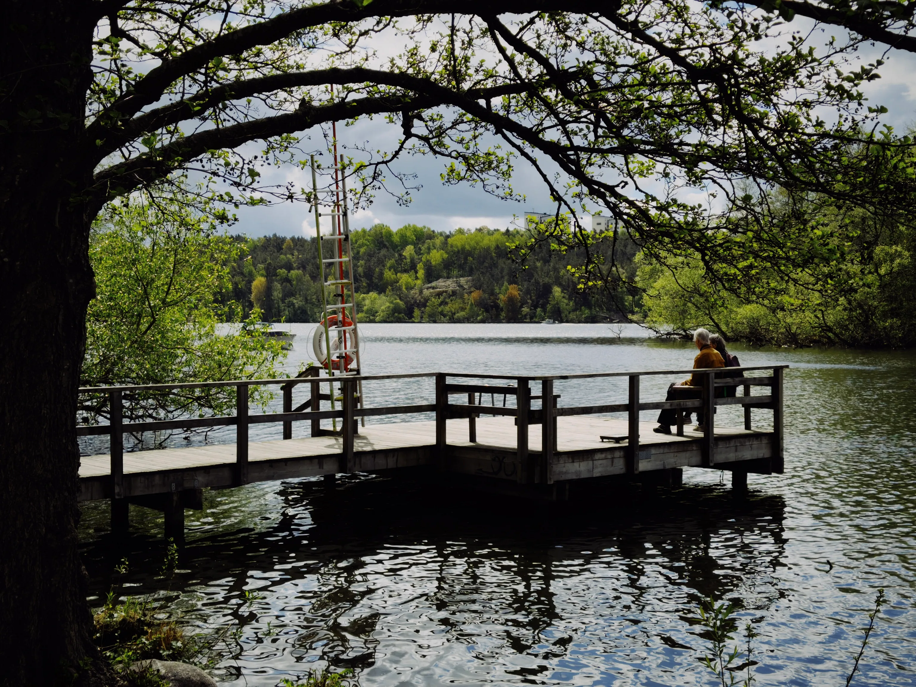 Two people sit on a bench at the end of a wooden lake pier, framed by green branches, with a life ring on a pole and a forested shore beyond.