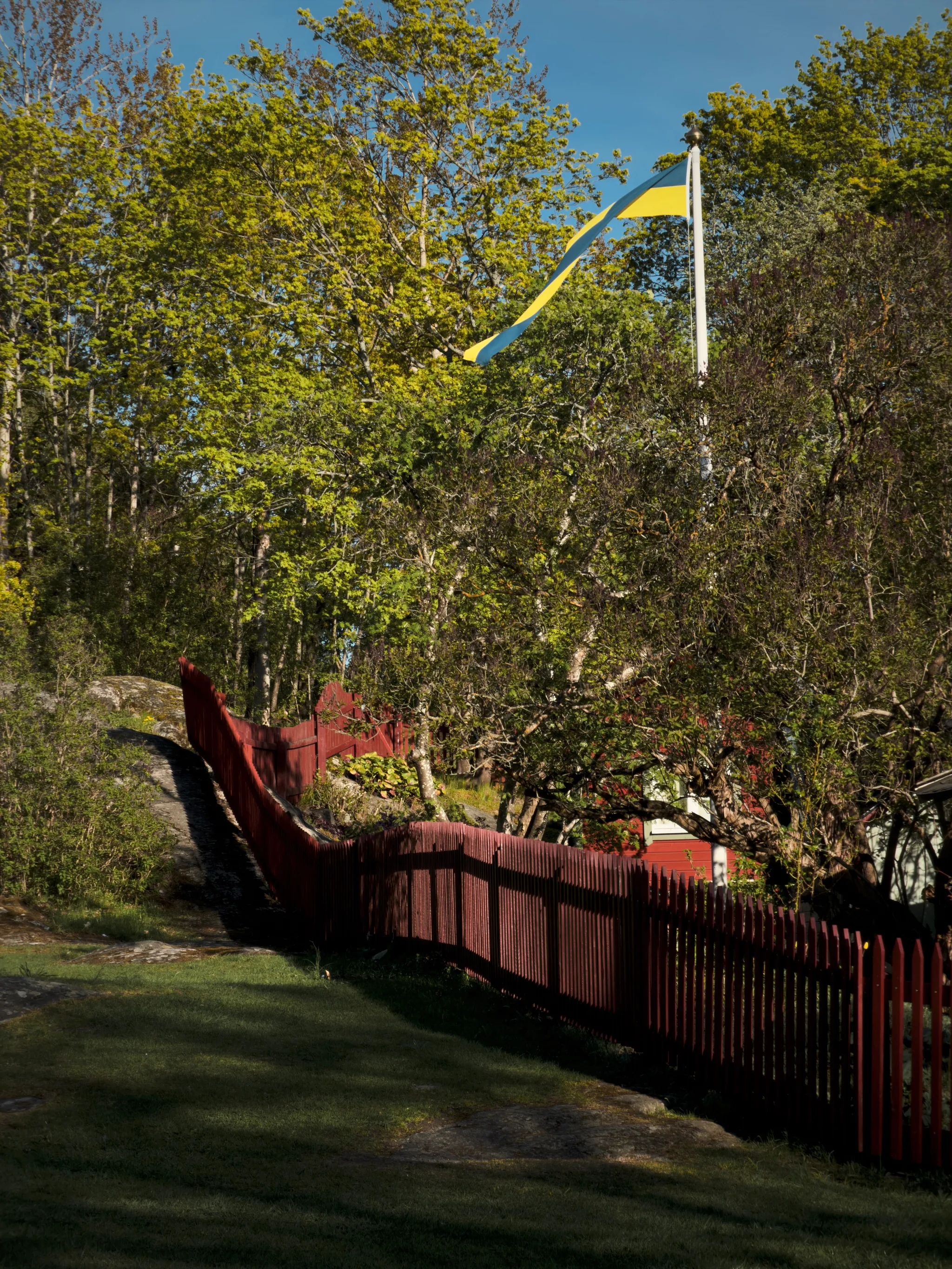 A dark red wooden picket fence curves across a grassy, rocky slope under spring trees, while a Swedish flag ripples from a white pole against blue sky in warm evening light.