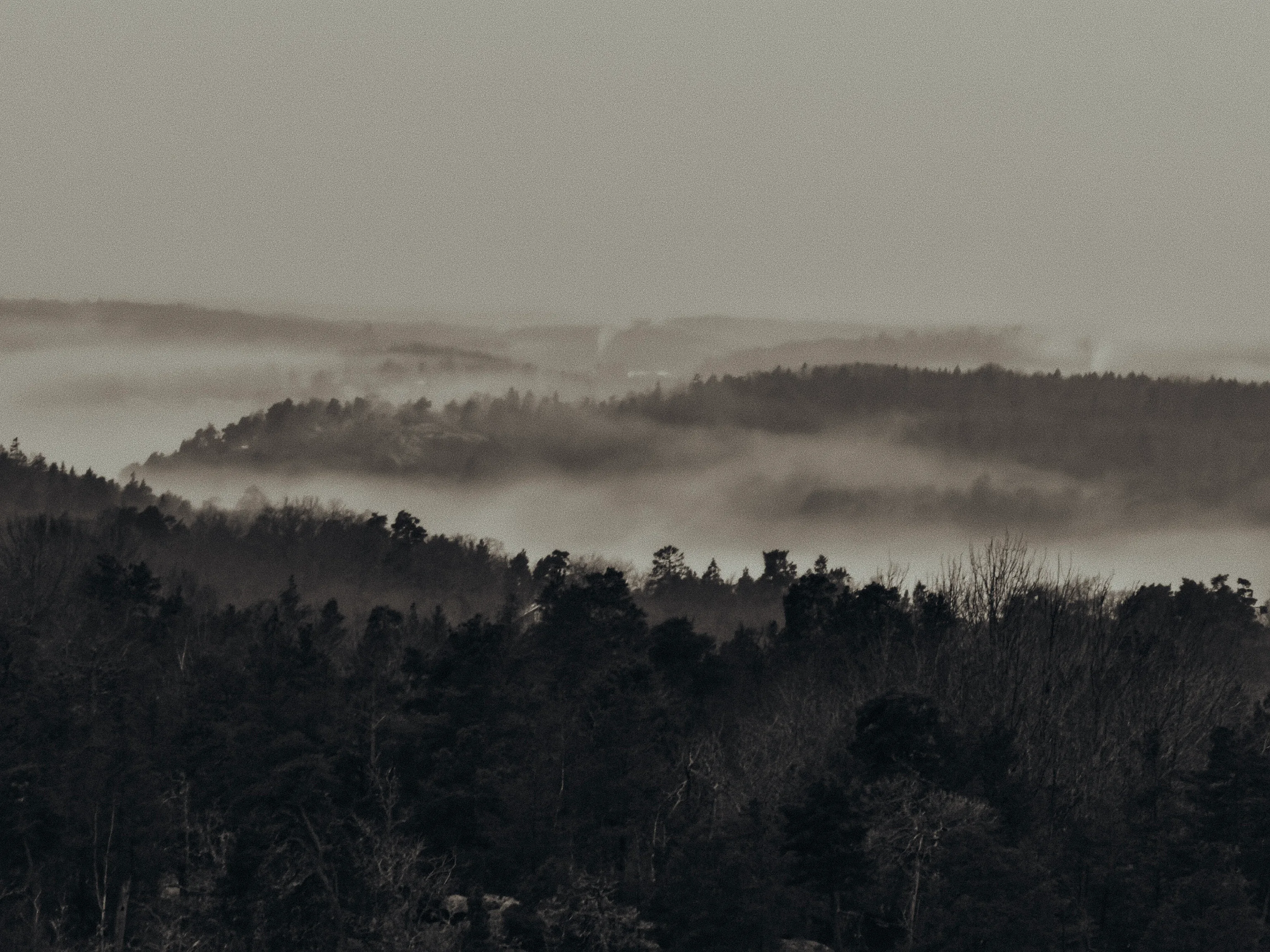 Low fog drifts between layers of dark forested ridges under a hazy gray sky, giving the Stockholm landscape a soft, muted, dreamlike morning atmosphere.