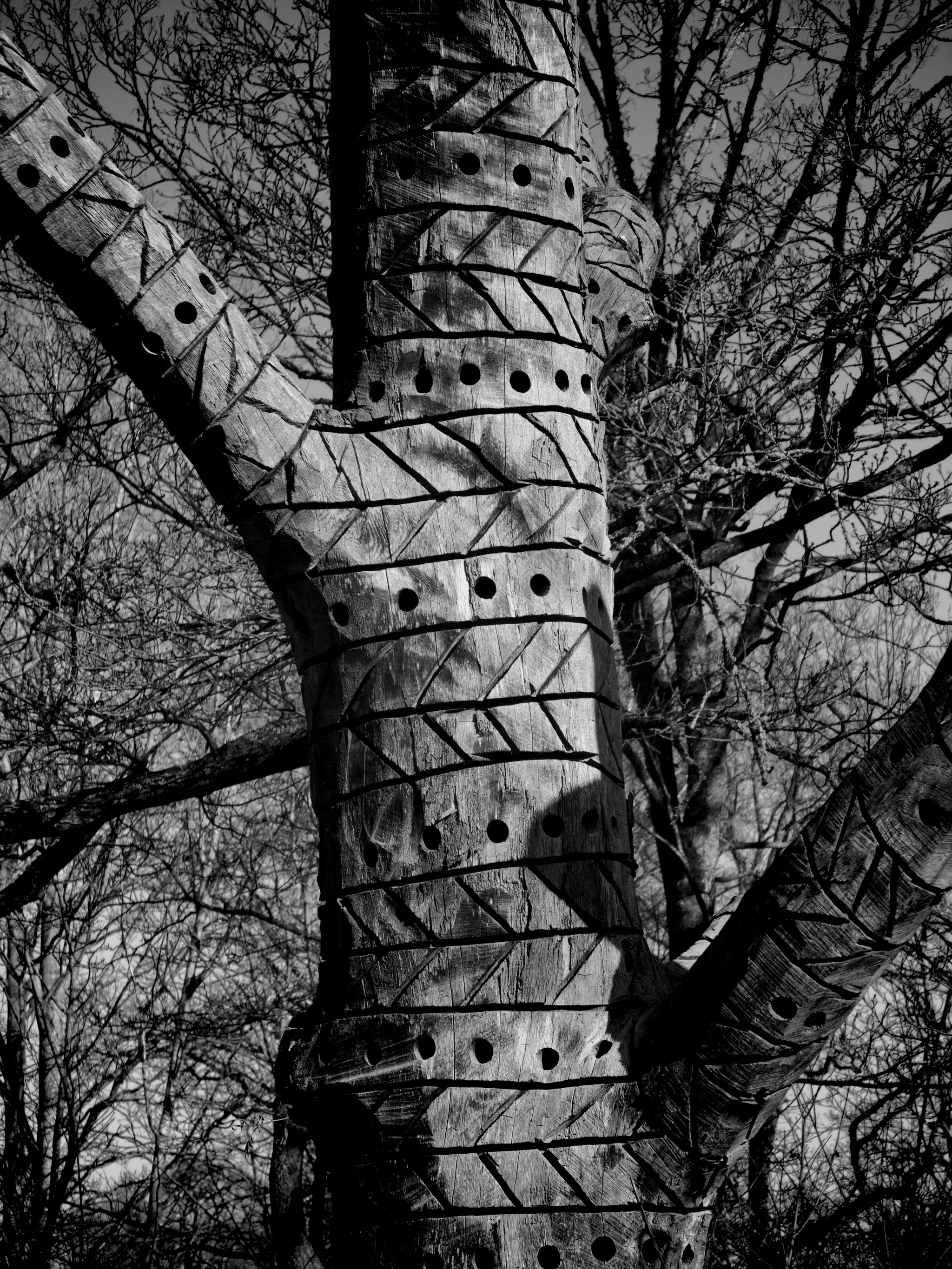Viewed from below, a weathered wooden trunk carved with zigzag patterns and rows of drilled holes stands in stark black and white among bare leafless branches.