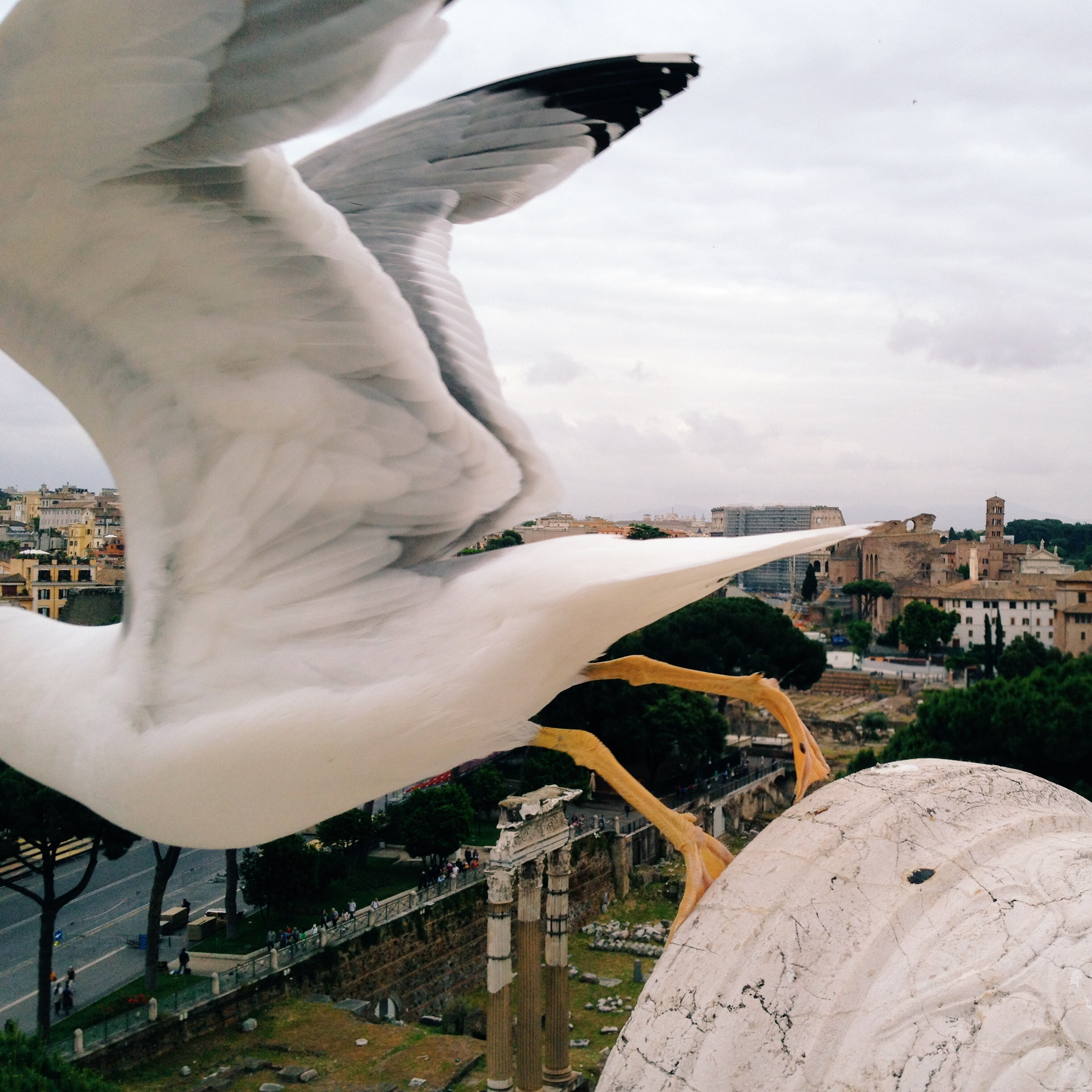 A leap of faith