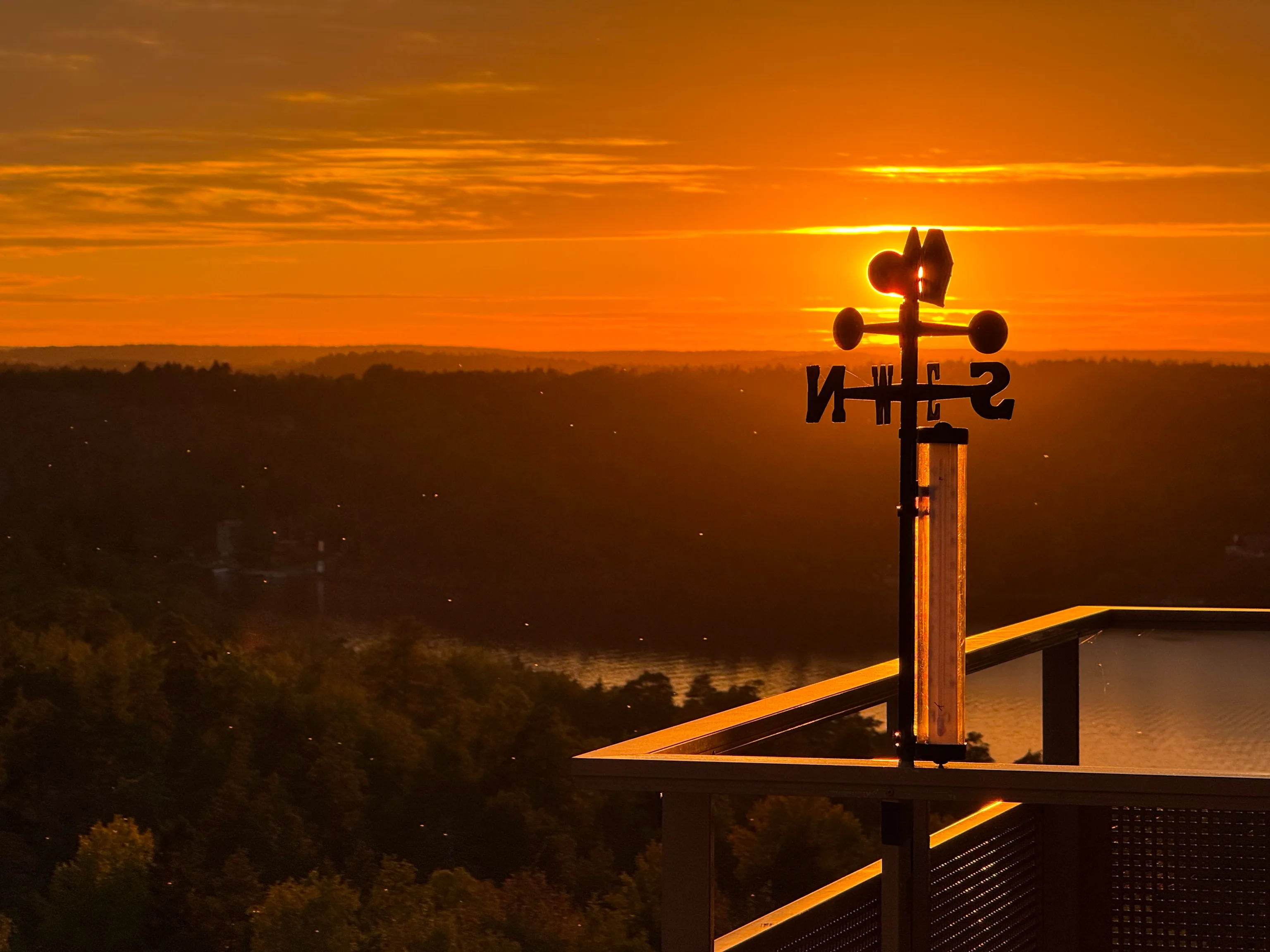 A weather vane silhouetted against a blazing orange sunset, the sun sitting directly behind it so the vane seems to glow, above dark treetops and water.