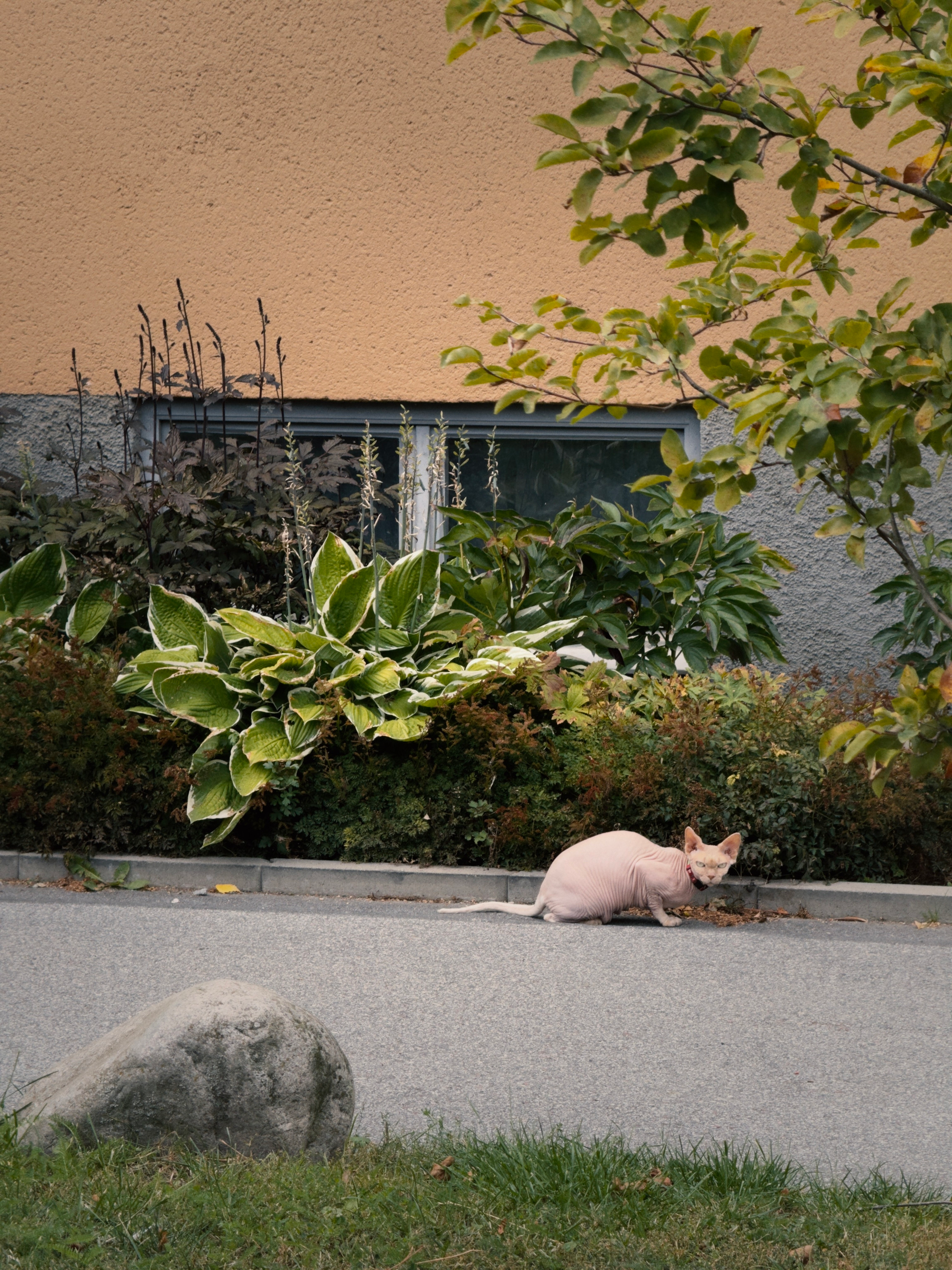 Caught outside naked