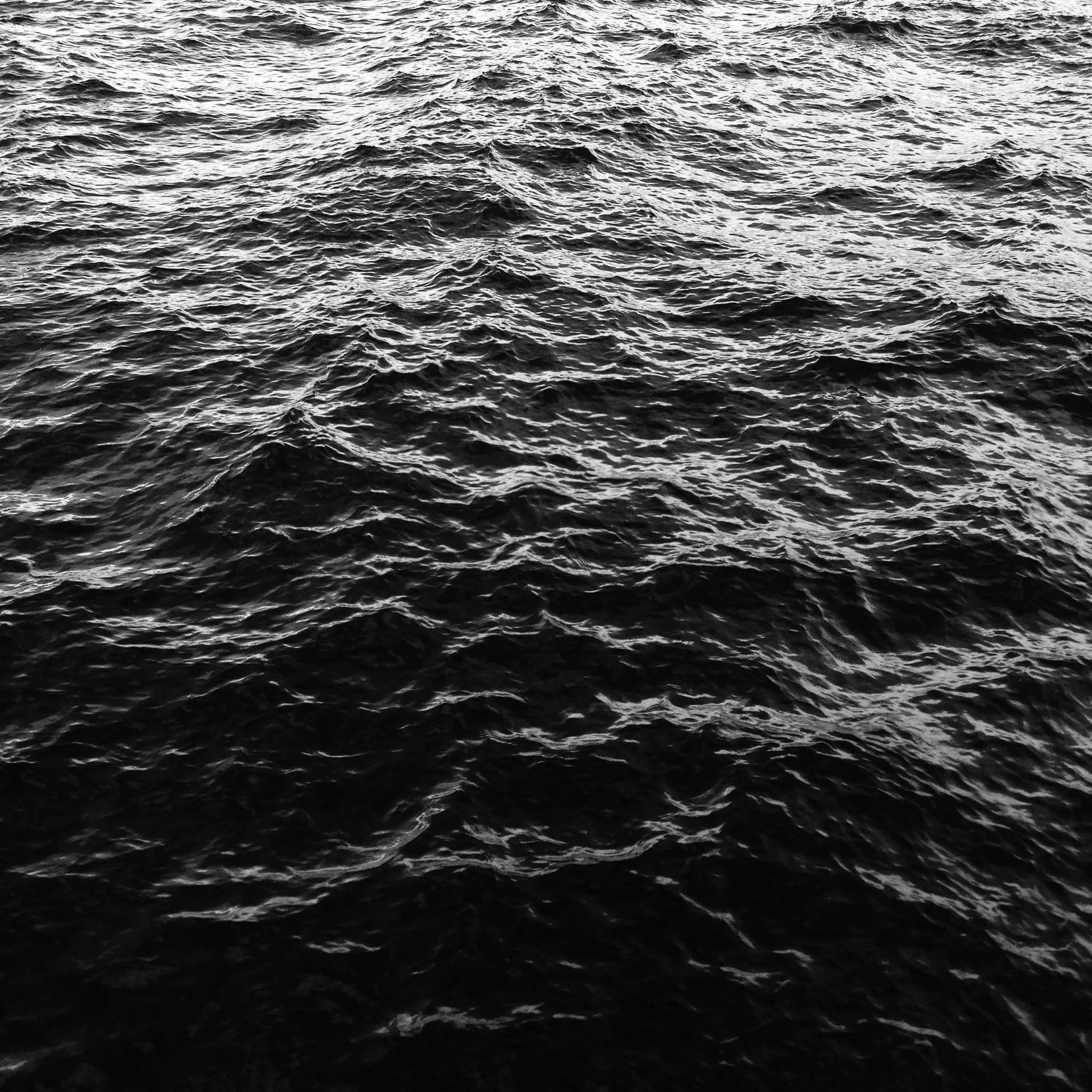 Choppy, near-black water fills the entire frame, small rippled waves catching silvery light along their crests in a high-contrast black-and-white study of the lake's surface.