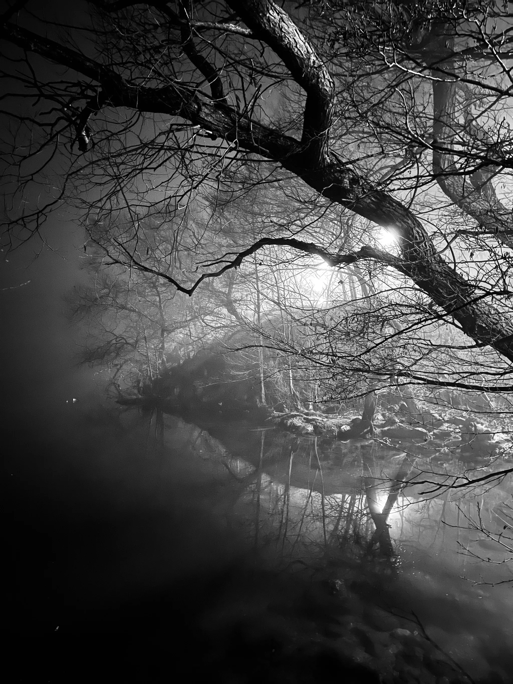 Bare, gnarled tree branches reach over dark still water as thick mist drifts through the winter trees, a bright light glowing faintly behind them in this moody black-and-white scene.