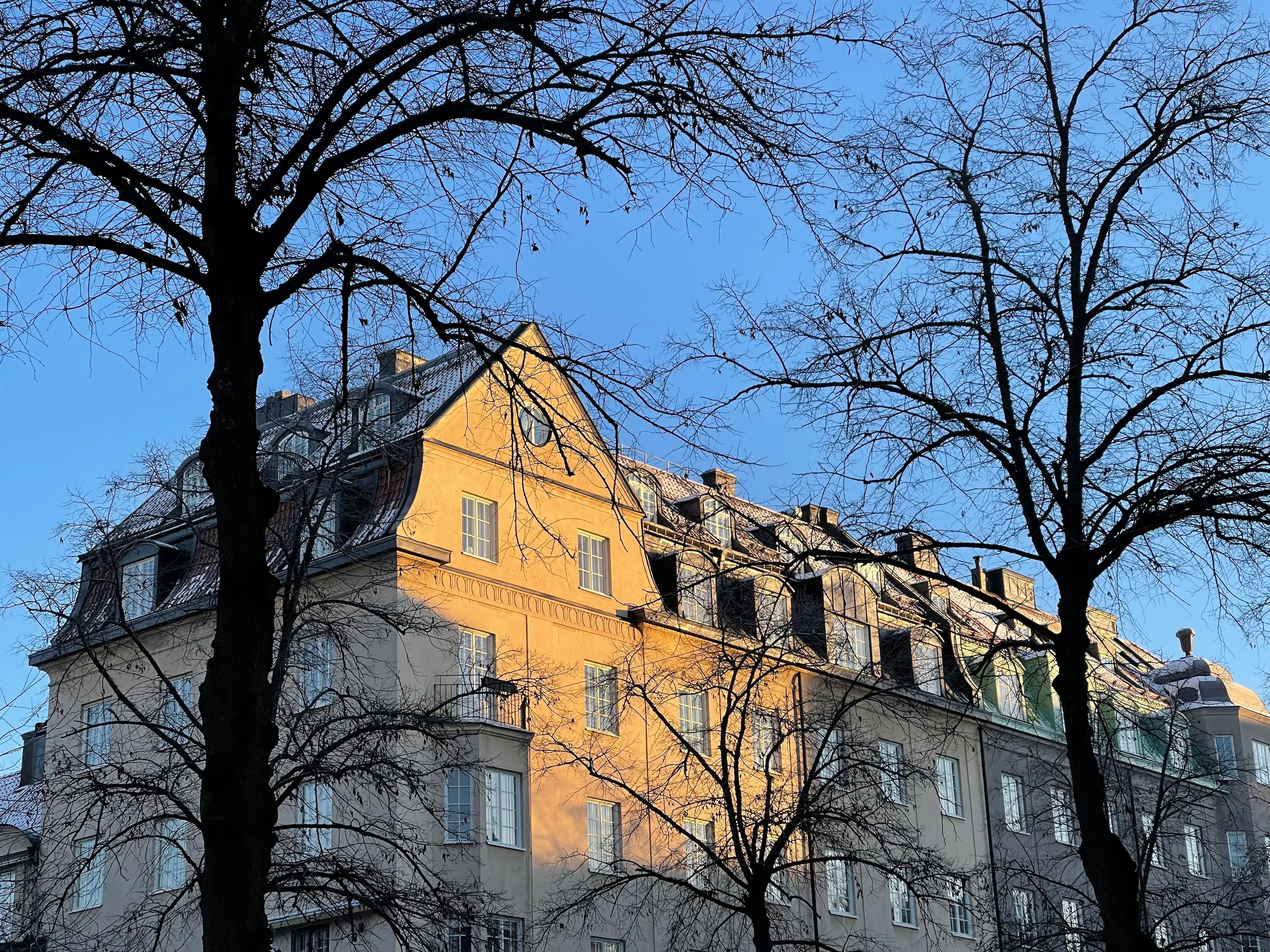 Bare winter tree branches frame a historic building's golden sunlit facade and dormered roofline against a clear deep-blue sky.