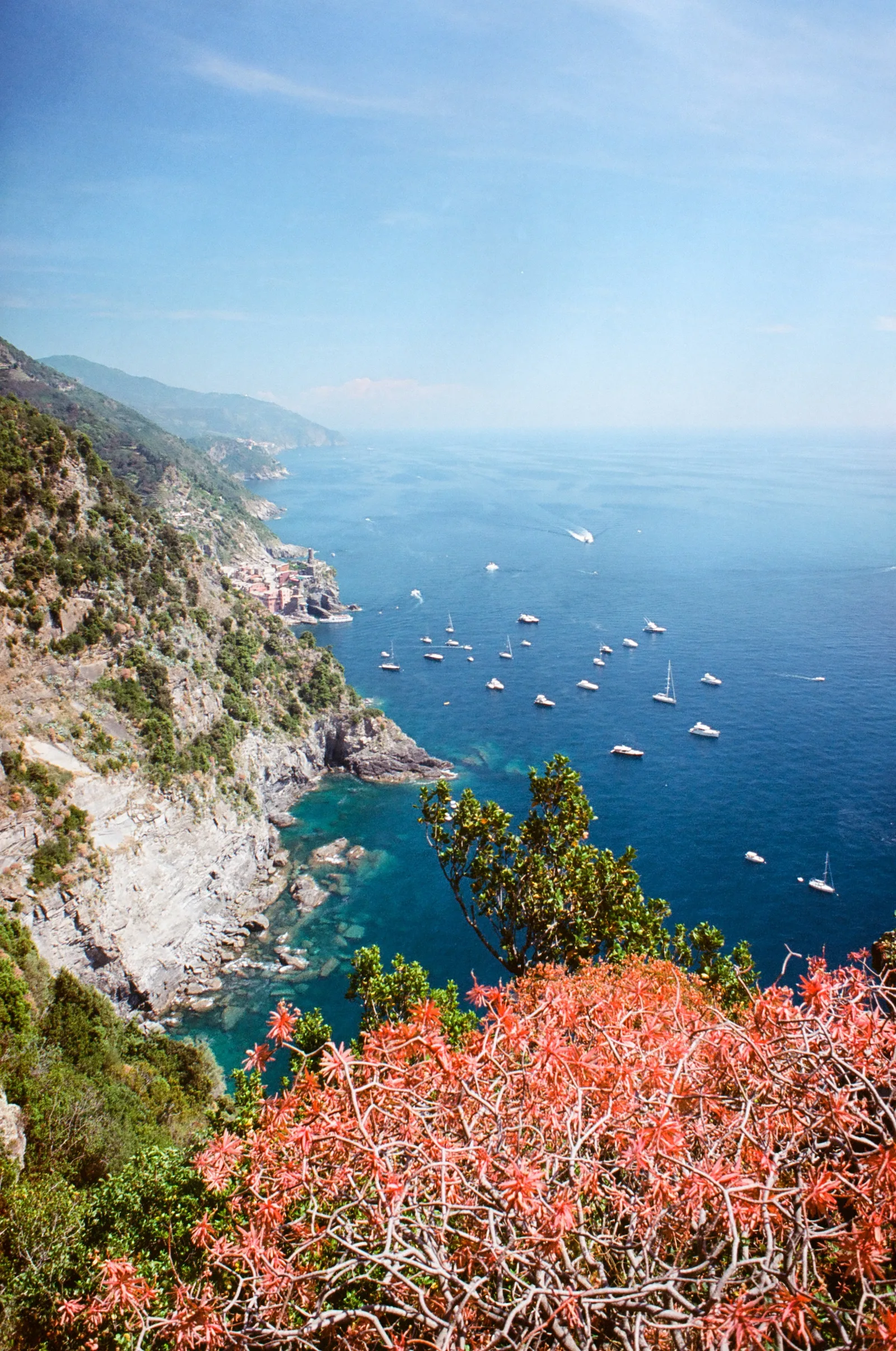 Steep green cliffs of Cinque Terre drop to a deep blue sea dotted with white boats, a small village on the coast, coral-red foliage framing the sunlit foreground.