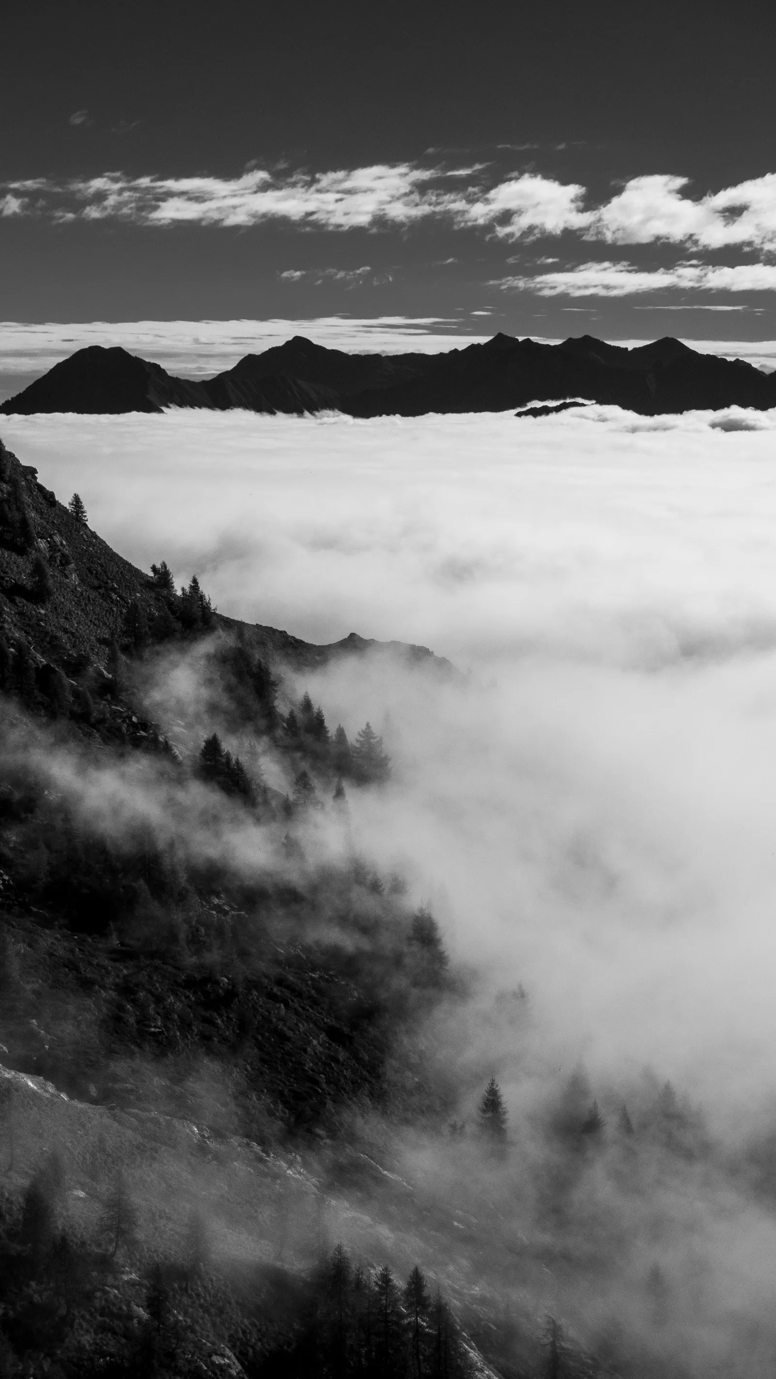 Thick fog fills Anzasca Valley like a white sea while dark conifers cling to a misty slope in the foreground and jagged peaks rise above in this high-contrast black-and-white landscape.