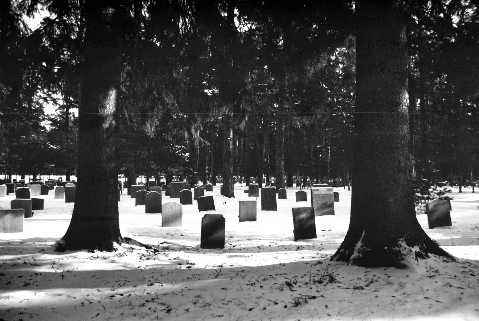 Snow-dusted gravestones scattered across a forest clearing at Skogskyrkogården cemetery, framed by two large dark pine trunks in the foreground, the bright snow contrasting sharply with shadowed evergreens.